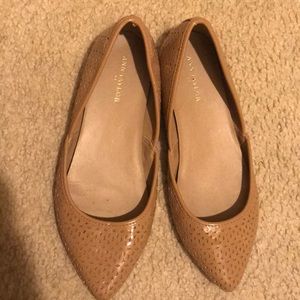 Ann Taylor Pointed flats